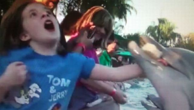 daily picdump 110 pics 6.html - 110 HD Photos | Premium Gallery 2012