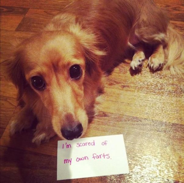 daily picdump 110 pics 6.html - 110 HD Photos | Premium Gallery 2012