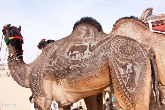 morning picdump 54 pics 2.html - 54 HD Photos | Premium Gallery 2012