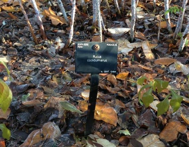 morning picdump 54 pics 2.html - 54 HD Photos | Premium Gallery 2012