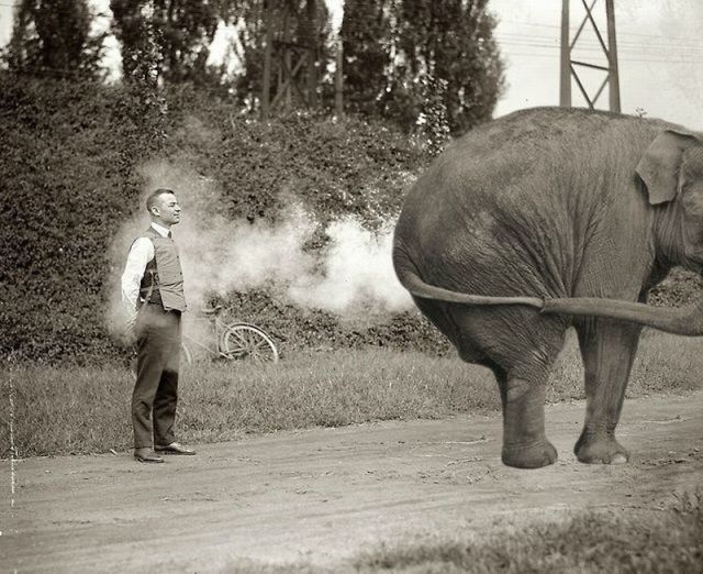 morning picdump 54 pics 2.html - 54 HD Photos | Premium Gallery 2012