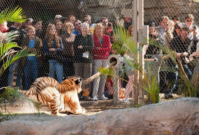 morning picdump 54 pics 2.html - 54 HD Photos | Premium Gallery 2012