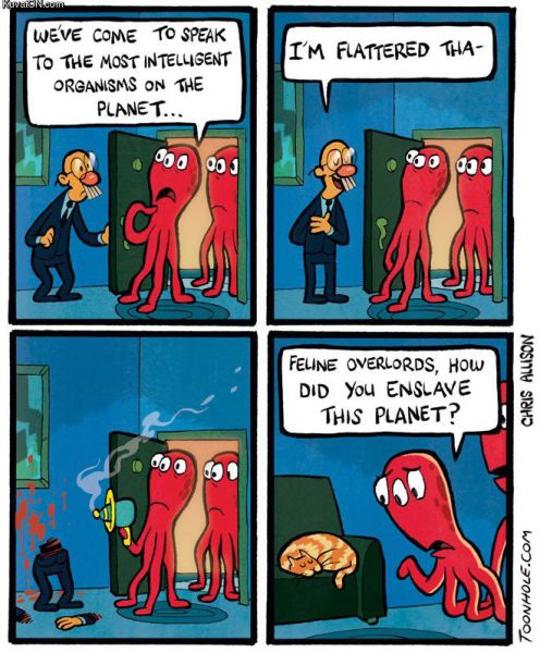 morning picdump 53 pics 1.html - 53 HD Photos | Premium Gallery 2012