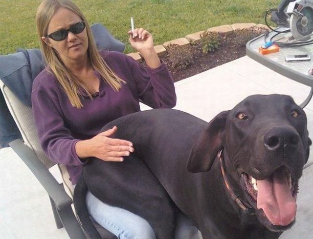 morning picdump 53 pics 1.html - 53 HD Photos | Premium Gallery 2012