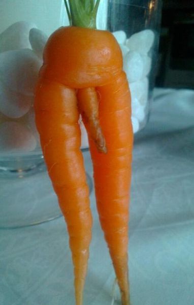 morning picdump 54 pics 17.html - 54 HD Photos | Premium Gallery 2012