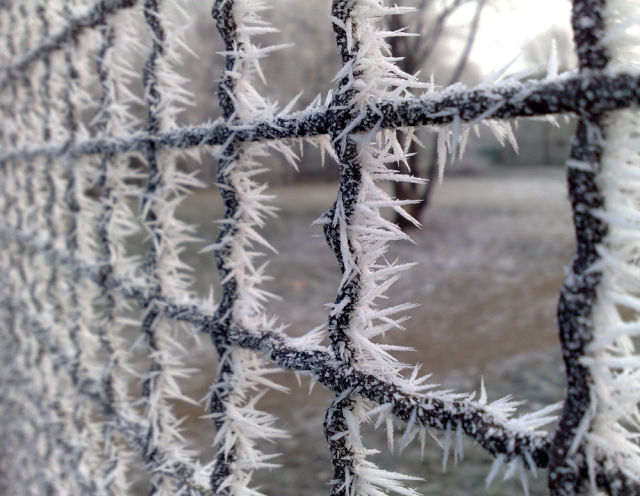 morning picdump 54 pics 17.html - 54 HD Photos | Premium Gallery 2012