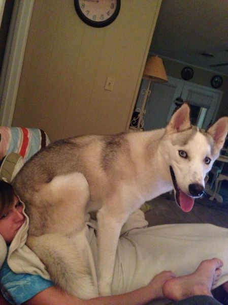 morning picdump 54 pics 17.html - 54 HD Photos | Premium Gallery 2012