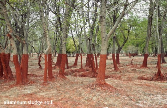 morning picdump 54 pics 17.html - 54 HD Photos | Premium Gallery 2012