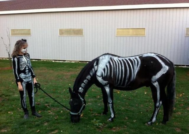 daily picdump 98 pics 38.html - 98 HD Photos | Premium Gallery 2012