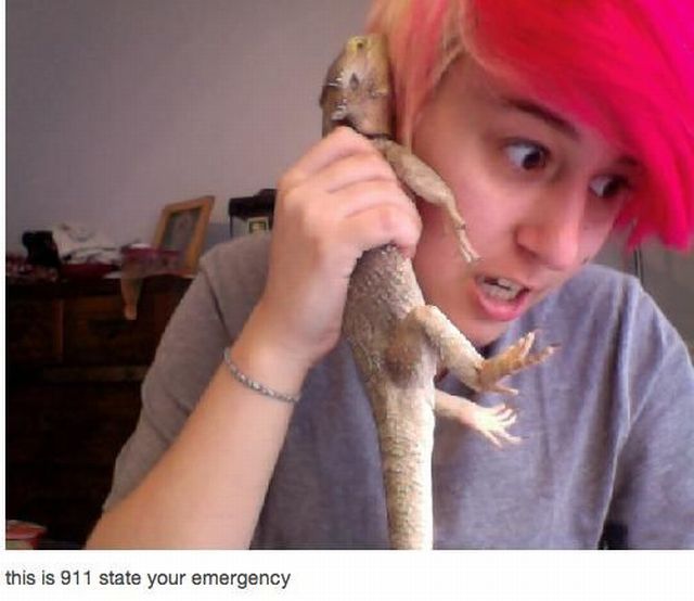 daily picdump 98 pics 38.html - 98 HD Photos | Premium Gallery 2012