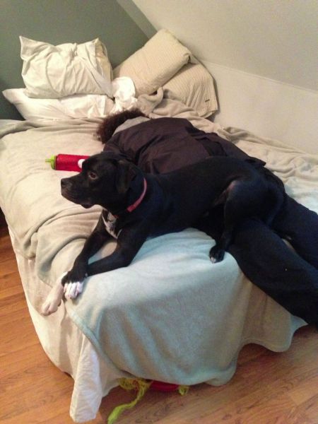 daily picdump 98 pics 38.html - 98 HD Photos | Premium Gallery 2012