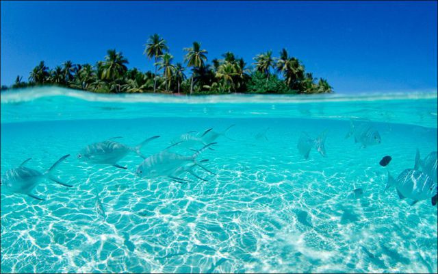 daily picdump 98 pics 38.html - 98 HD Photos | Premium Gallery 2012