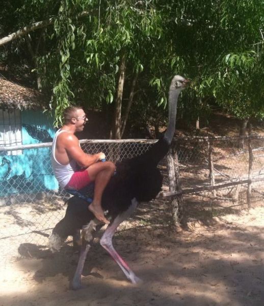 daily picdump 98 pics 38.html - 98 HD Photos | Premium Gallery 2012