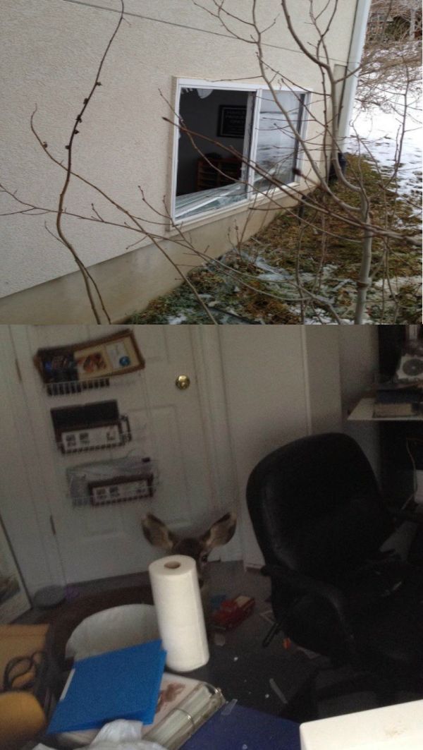 morning picdump 52 pics 21.html - 52 HD Photos | Premium Gallery 2012