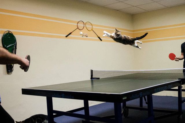 Morning Picdump
