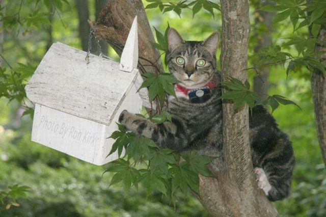 Oops, Totally Busted