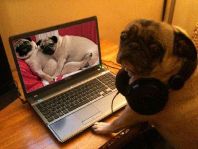 Oops, Totally Busted