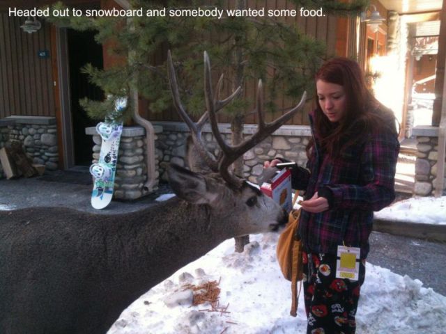 Morning Picdump