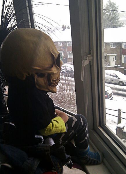 Morning Picdump