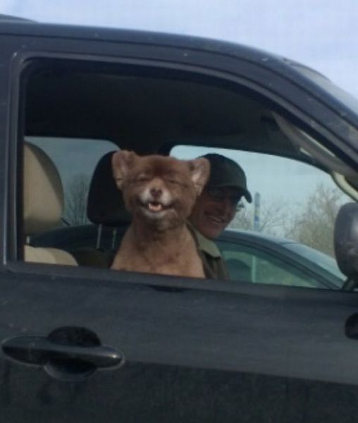 Daily Picdump