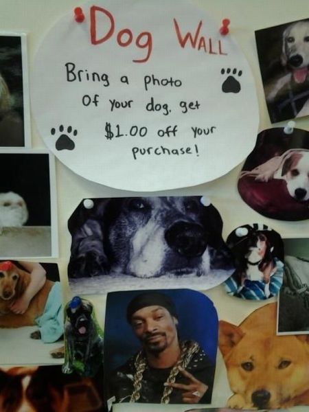 Morning Picdump