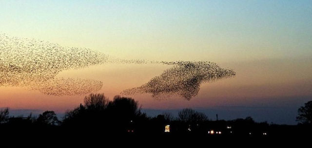 Timing Is Everything
