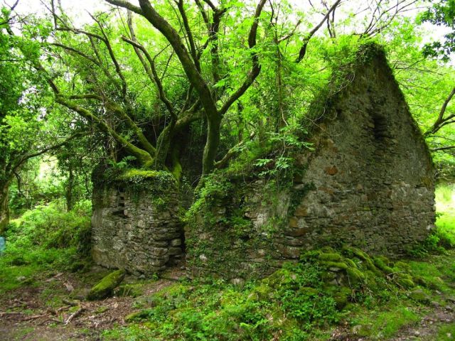 Magical Abandoned Places That Give Us Goosebumps