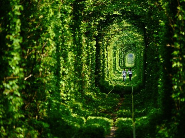 Magical Abandoned Places That Give Us Goosebumps