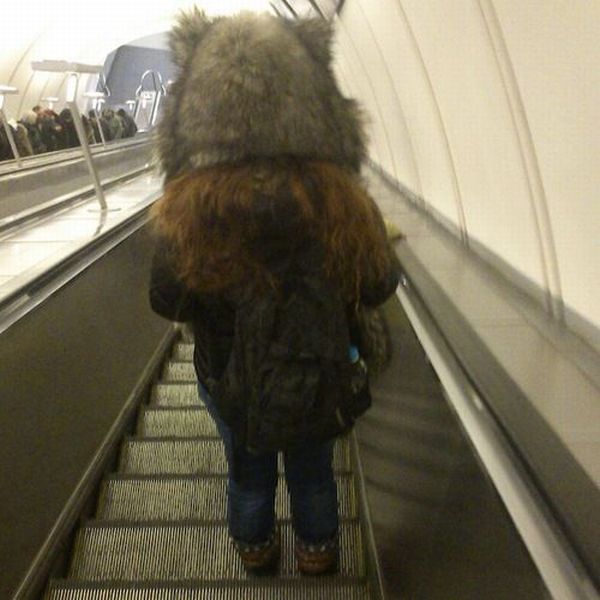 Morning Picdump