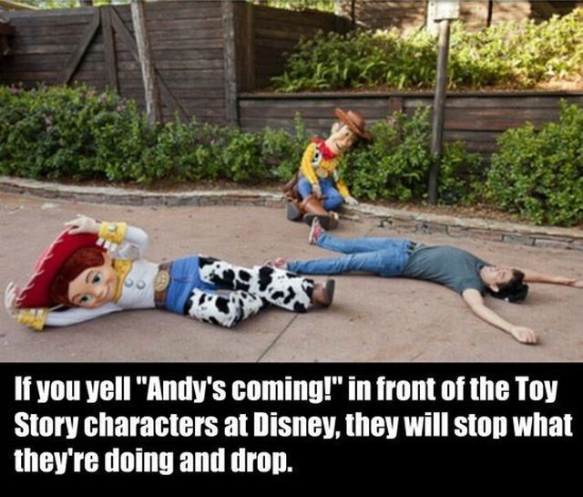Morning Picdump