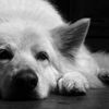 you will feel old after you see this 55 pics.html - 55 HD Photos | Premium Gallery 2012