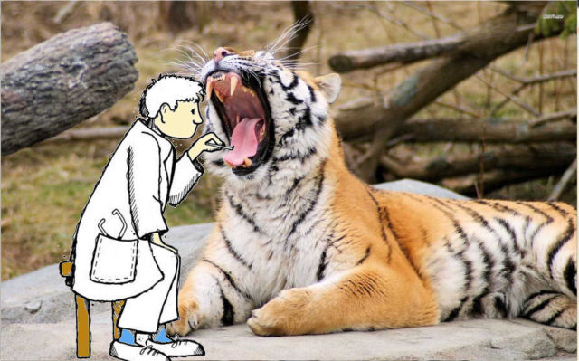 Morning Picdump