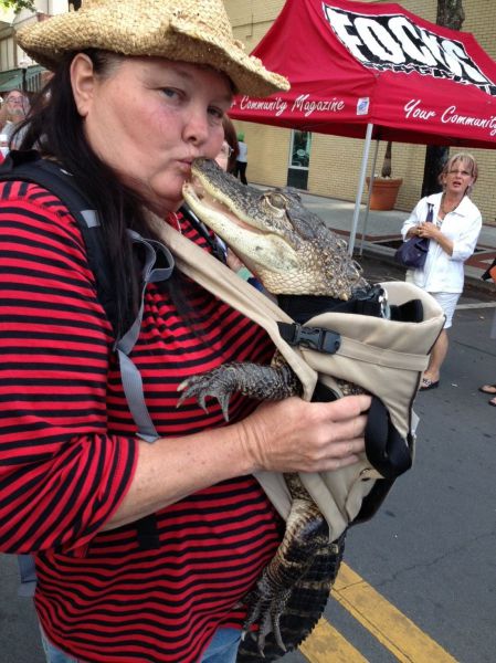 Morning Picdump