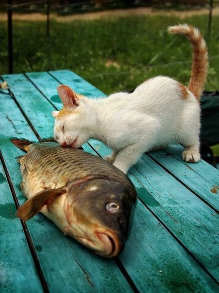 Morning Picdump
