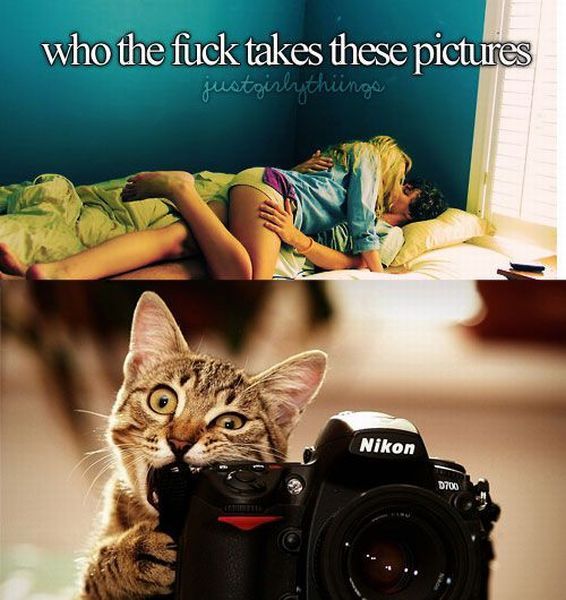Morning Picdump