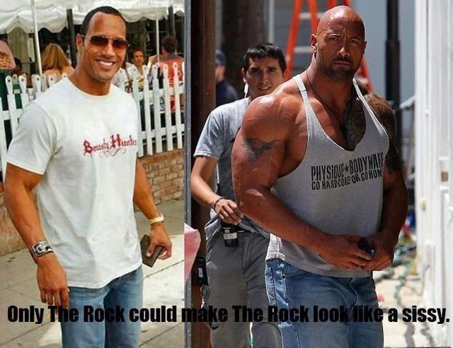 Morning Picdump