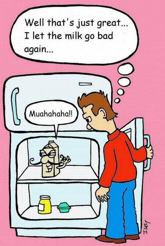 Morning Picdump
