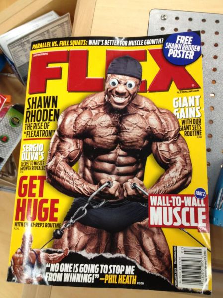 Morning Picdump