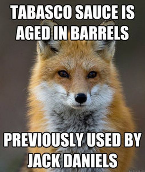 Get Your Fact Fix with This Great Fox Meme