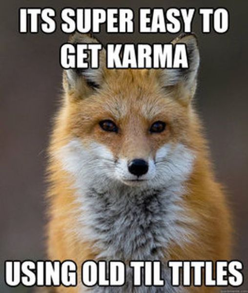 Get Your Fact Fix with This Great Fox Meme