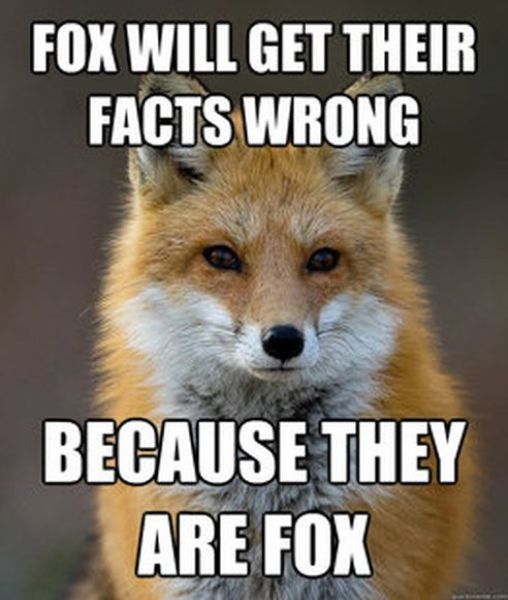 Get Your Fact Fix with This Great Fox Meme