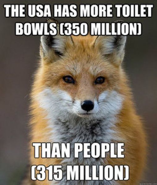 Get Your Fact Fix with This Great Fox Meme