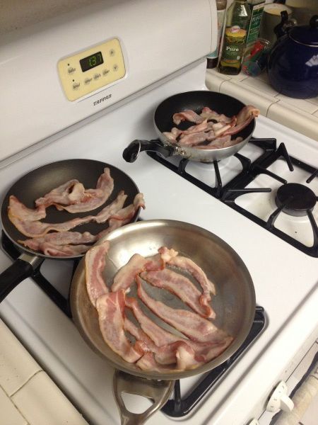 Daily Picdump