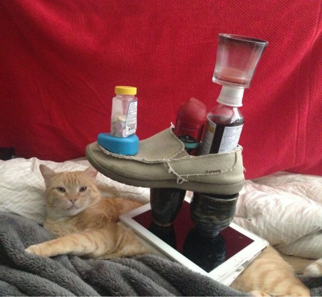 Morning Picdump