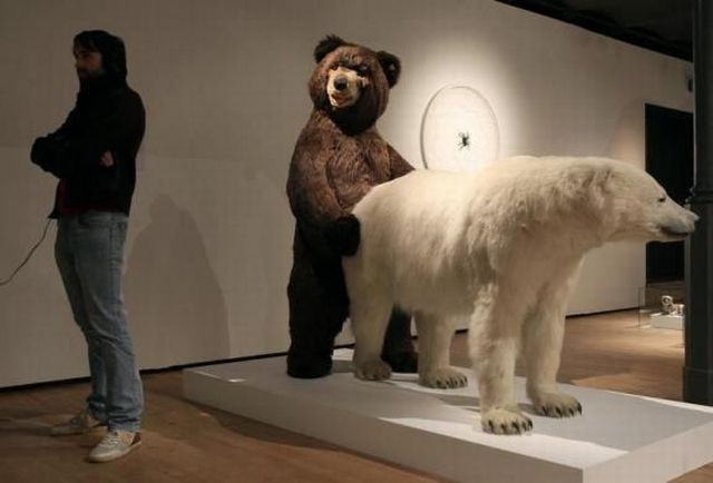 morning picdump 53 pics 2.html - 53 HD Photos | Premium Gallery 2013