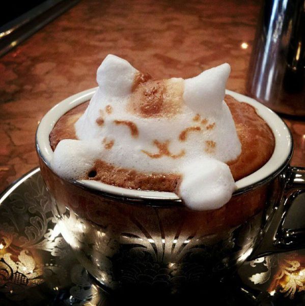 daily picdump 94 pics 2.html - 94 HD Photos | Premium Gallery 2013