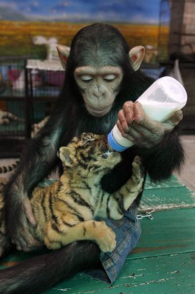 Adorably Sweet and Touching Moments Caught on Camera