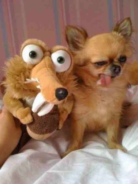 Daily Picdump [WEEKEND EDITION]