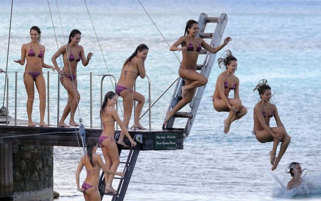 Morning Picdump
