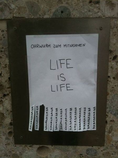 Morning Picdump